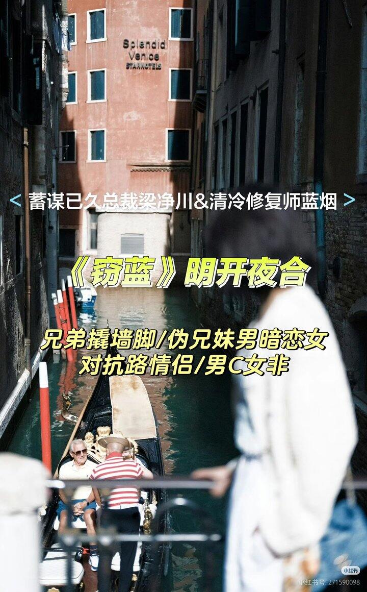 小说书单《窃蓝》作者：明开夜合