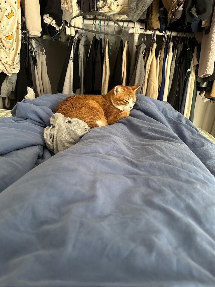 当务之急还得是减肥！！！