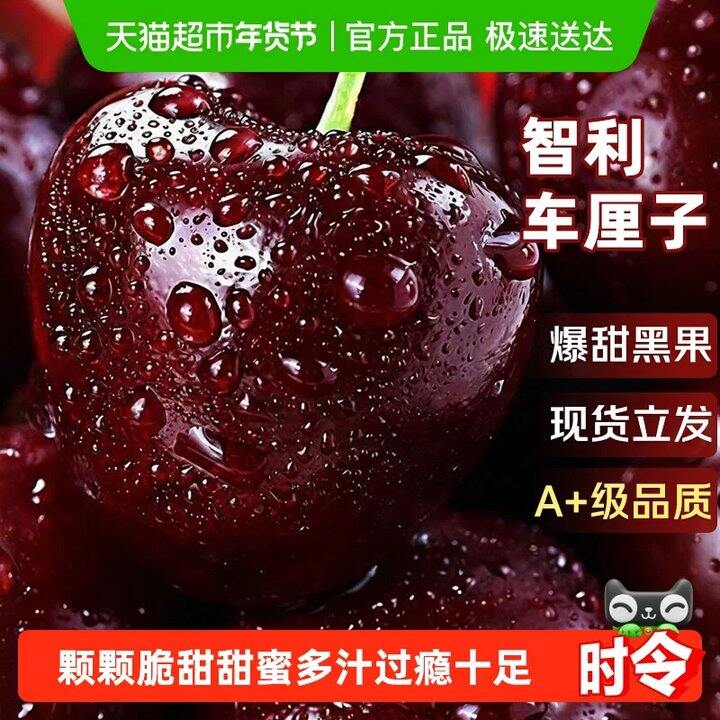 【车厘子合集】