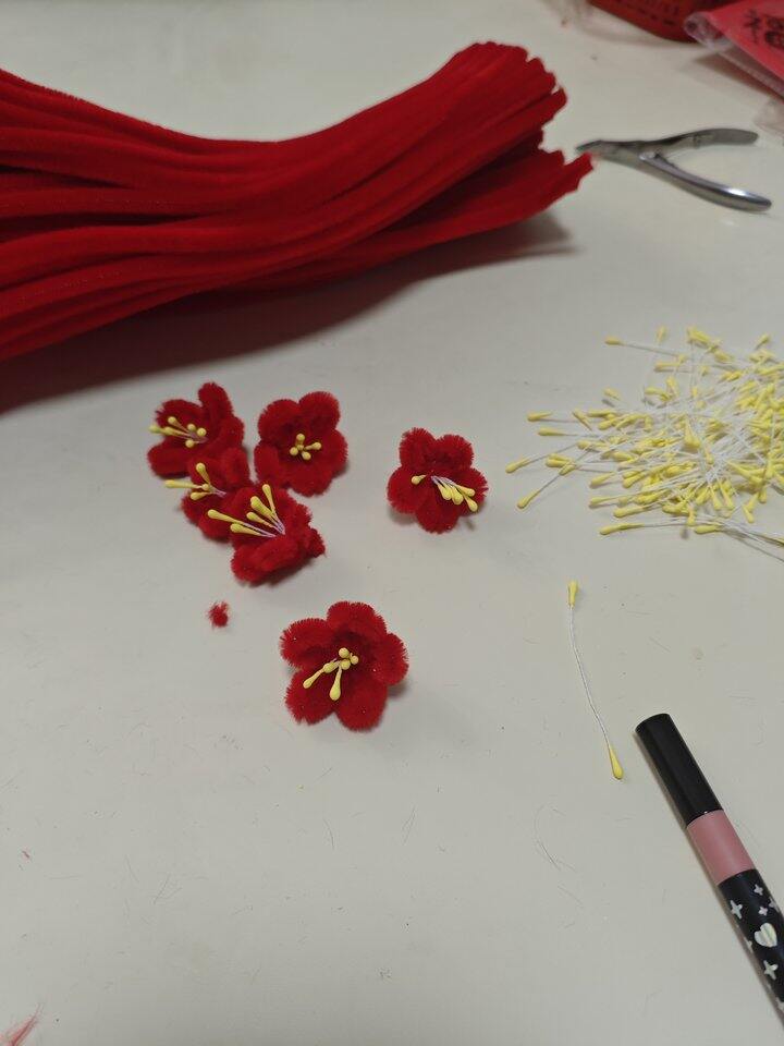 在🍠上学的扭扭棒腊梅