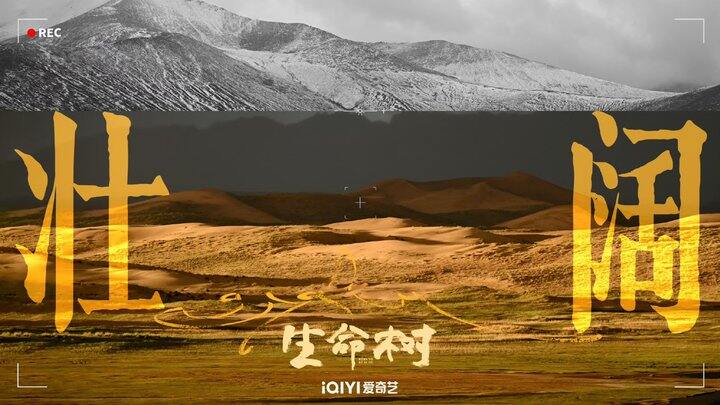 明年暑假去哪里玩啊