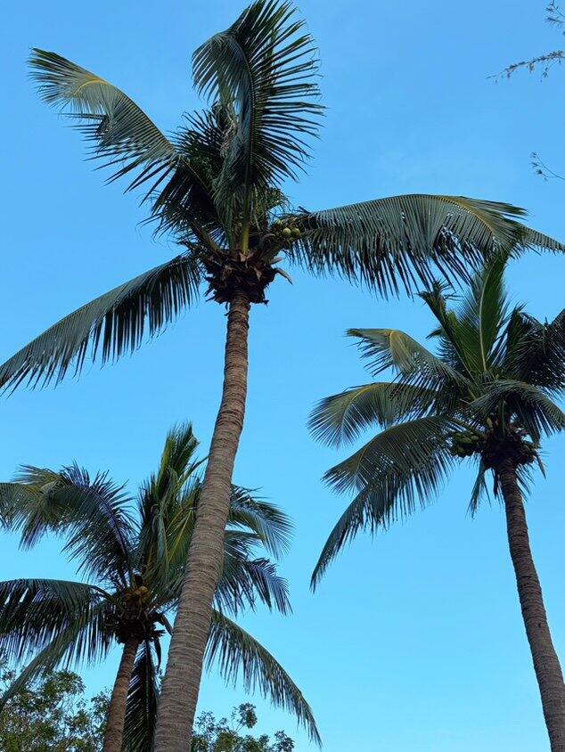 回家了！先吃碗水煮！