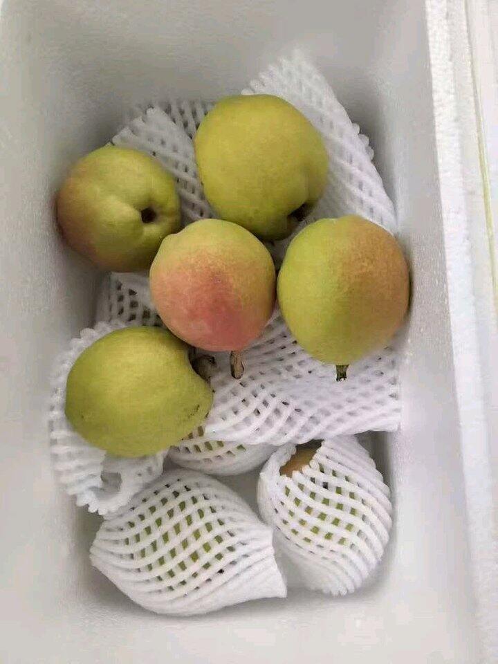 自营 库尔勒香梨🍐