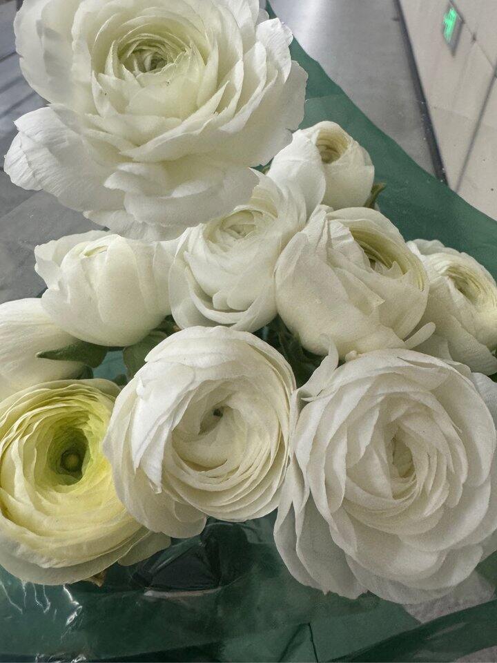 送朋友的伴手礼