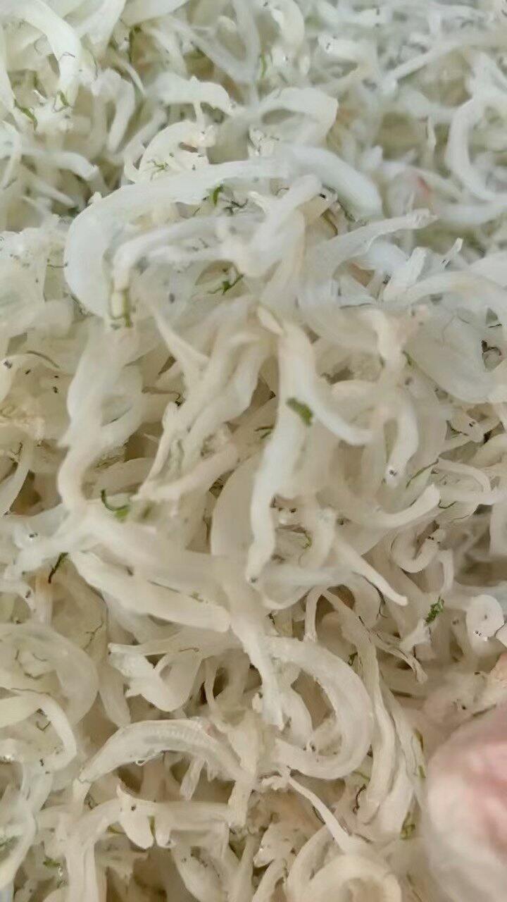 冒个泡，好久不见咯