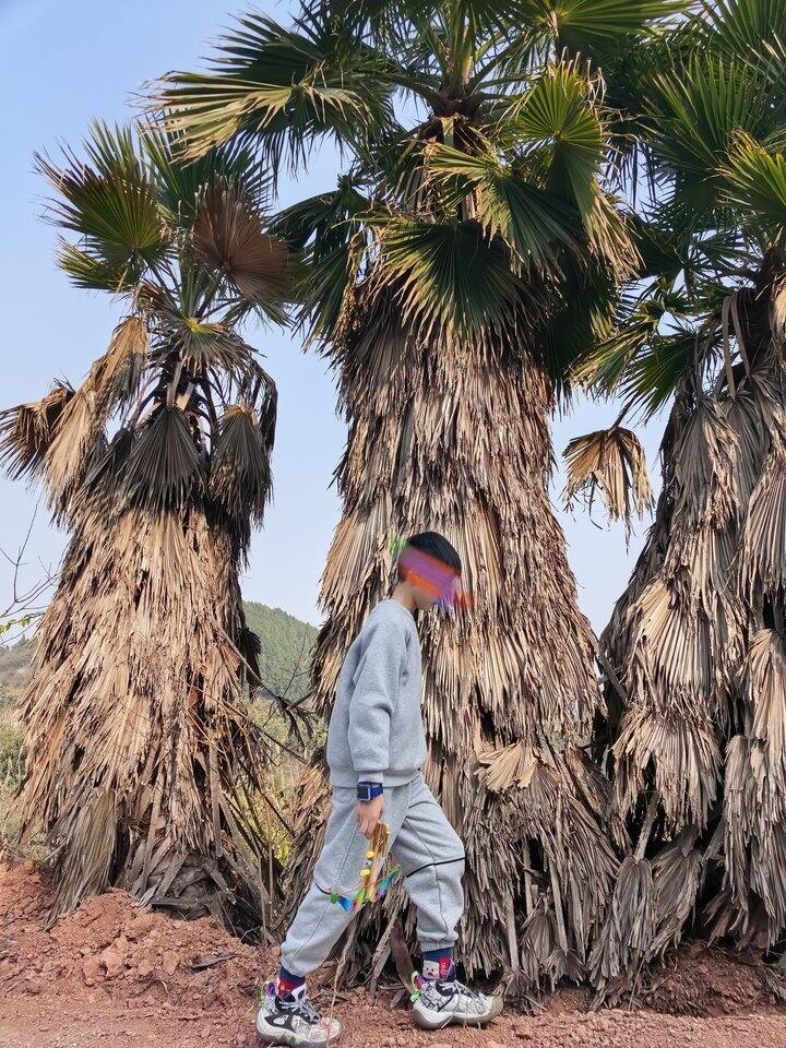 上条路况卫衣的返图