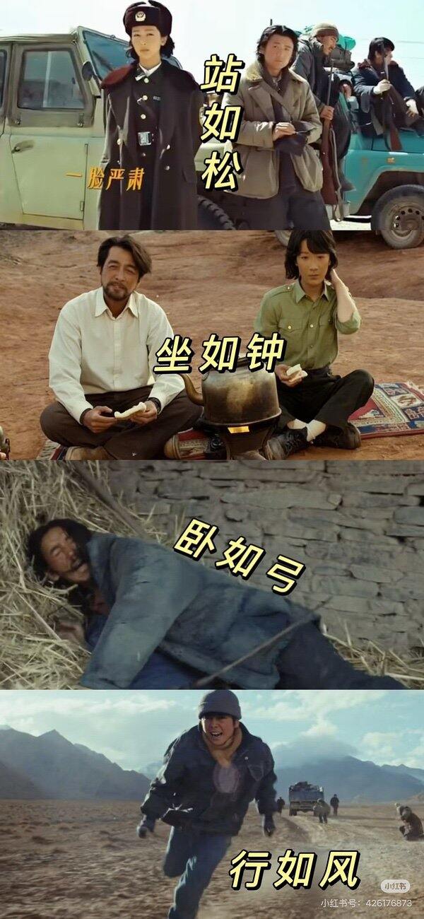 今晚来看生命树啦