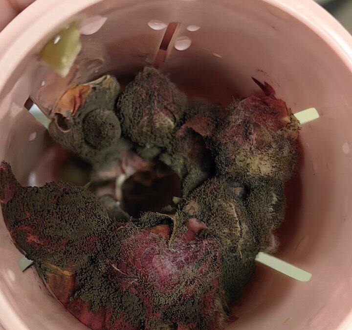 我需要挂急诊吗