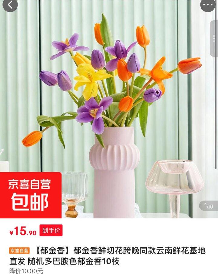 京东自营郁金香🌷