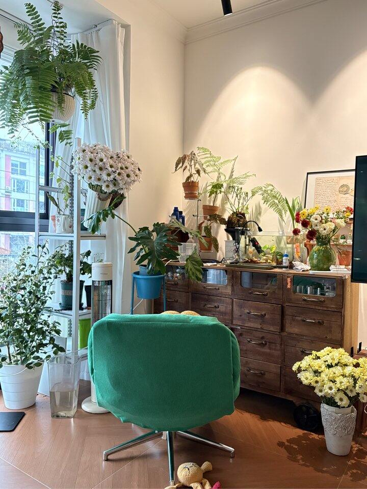 家里最喜欢的角落