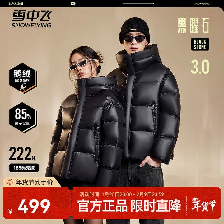 雪中飞鹅绒服399