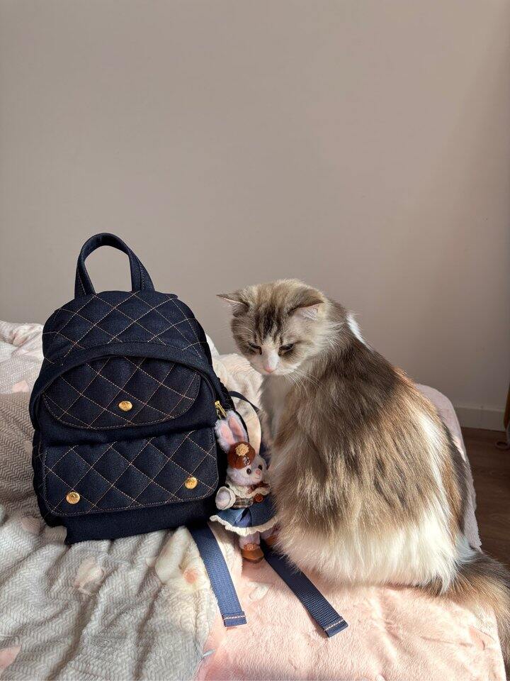 小宝同志配露露