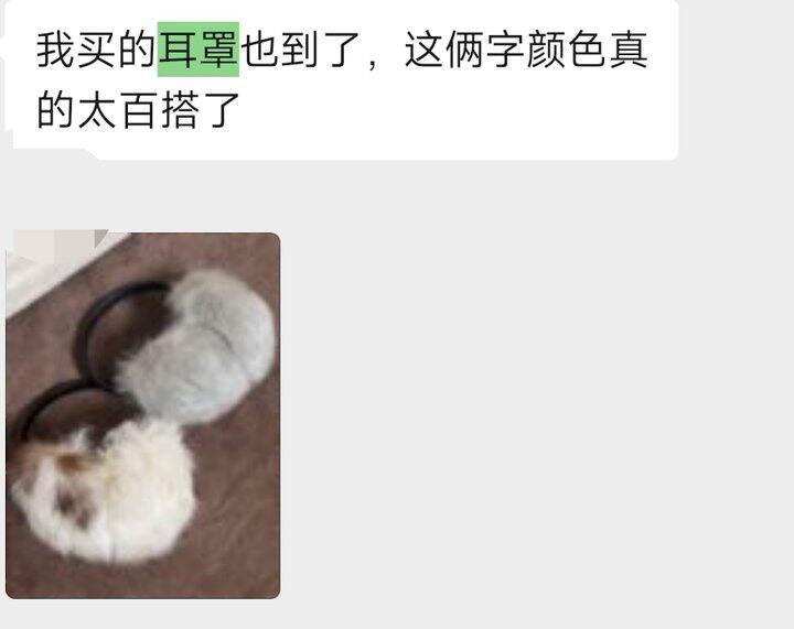 羊皮毛耳罩清仓 20俩 内里不是真皮有绒布/皮面