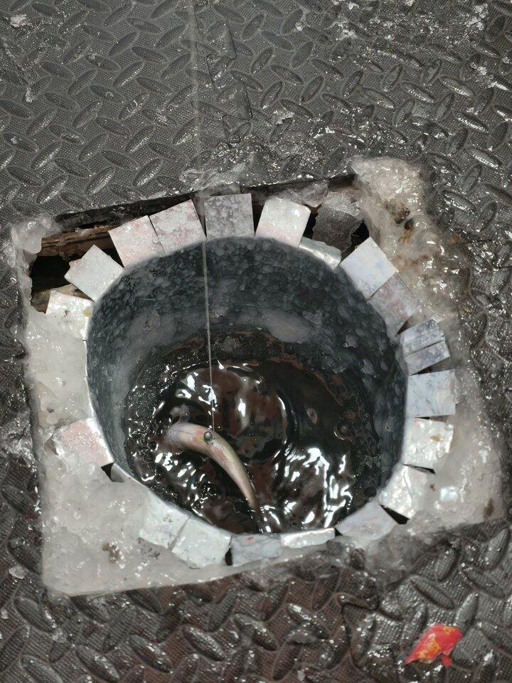 哈尔滨游玩感受