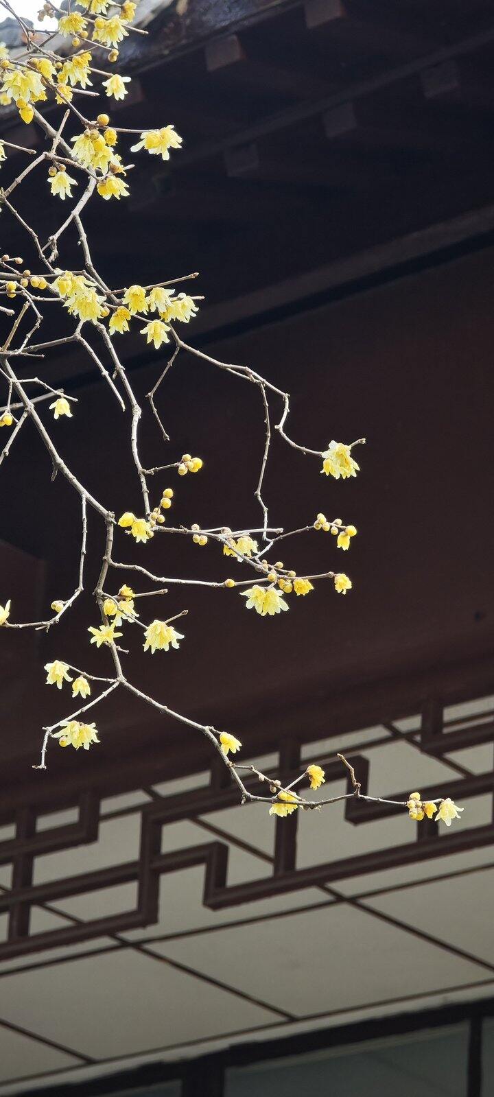 ［随手拍］立春