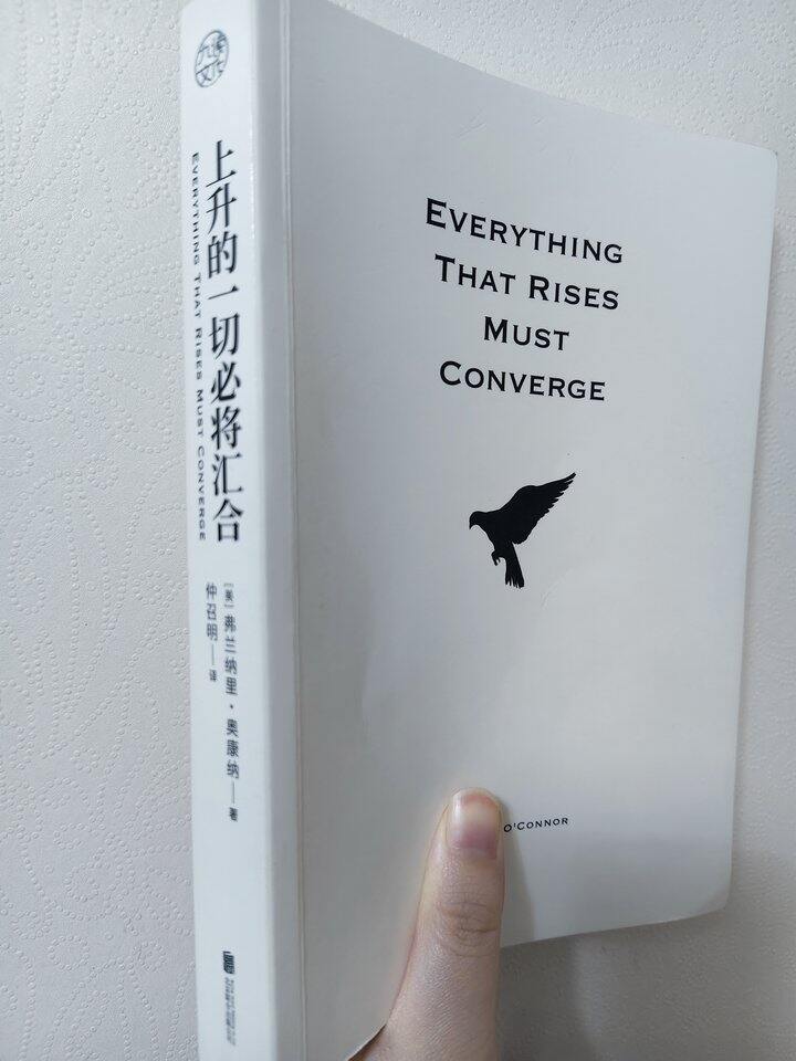 《上升的一切必将汇合》（奥康纳短篇小说集）