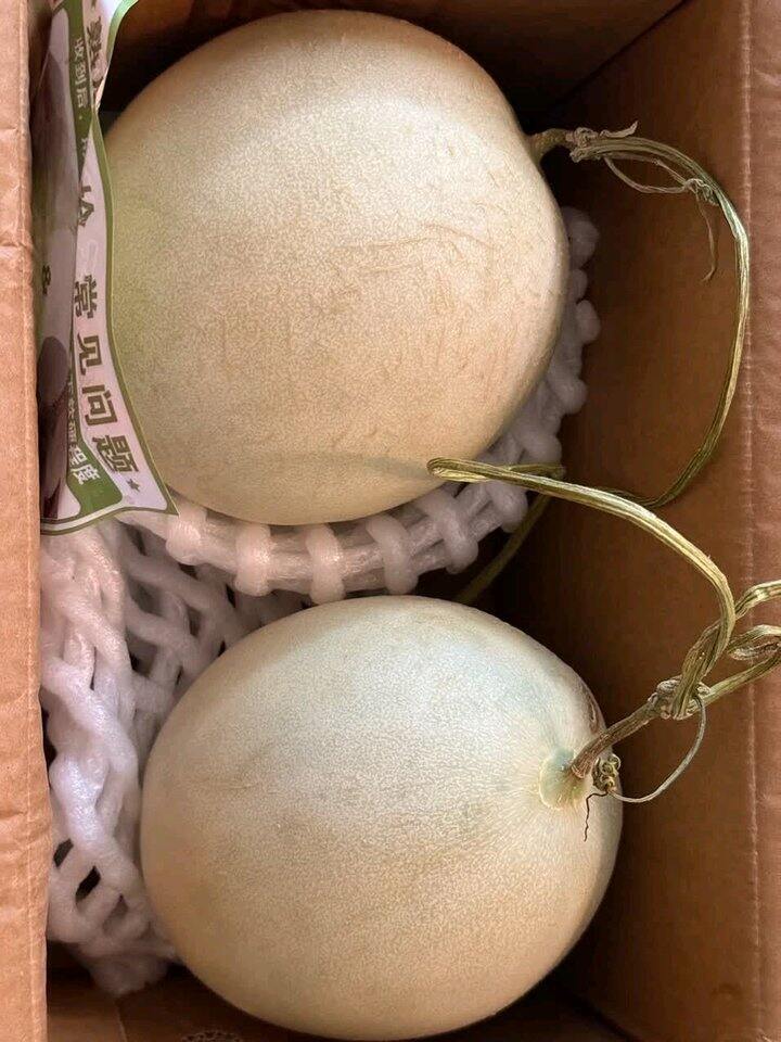 玉菇甜瓜🍈
