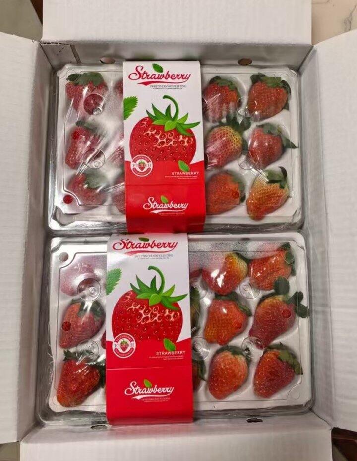 京鲜生大凉山🍓草莓丨12.4/斤