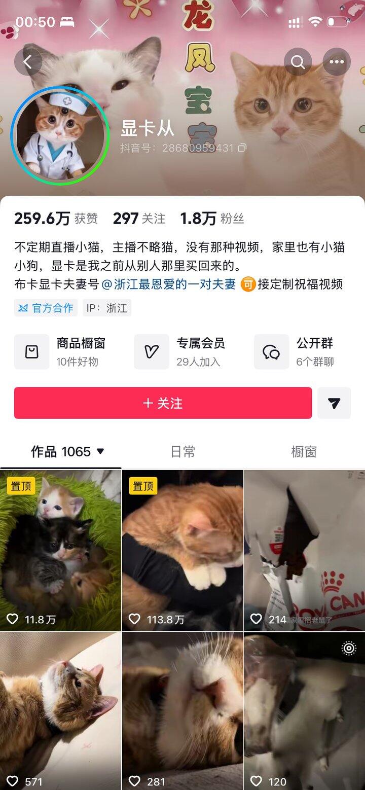 现在好多神经b啊  抖后台没人管吗 为啥虐🐱的人都几万粉丝啊  气死我了