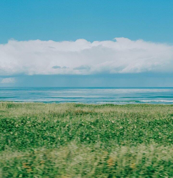 一点零食都没买！