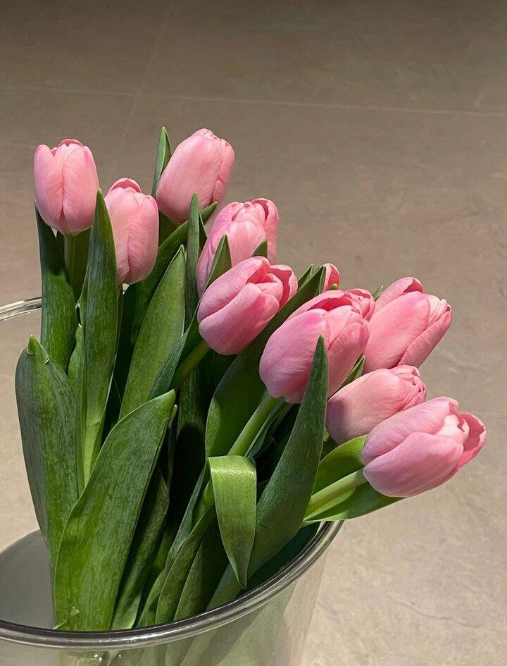 来买🌷京东物流发货更好更快！