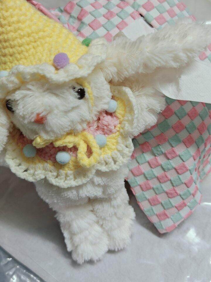 抽纸巾盒————好可爱(๑＞ڡ＜)☆