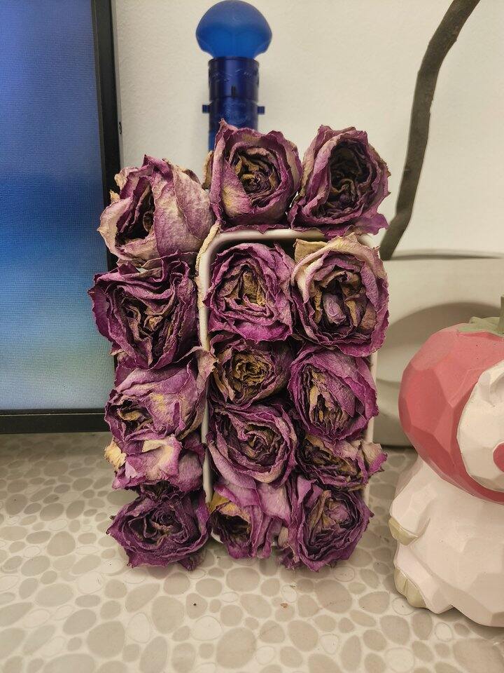 废物利用做了一个永生花