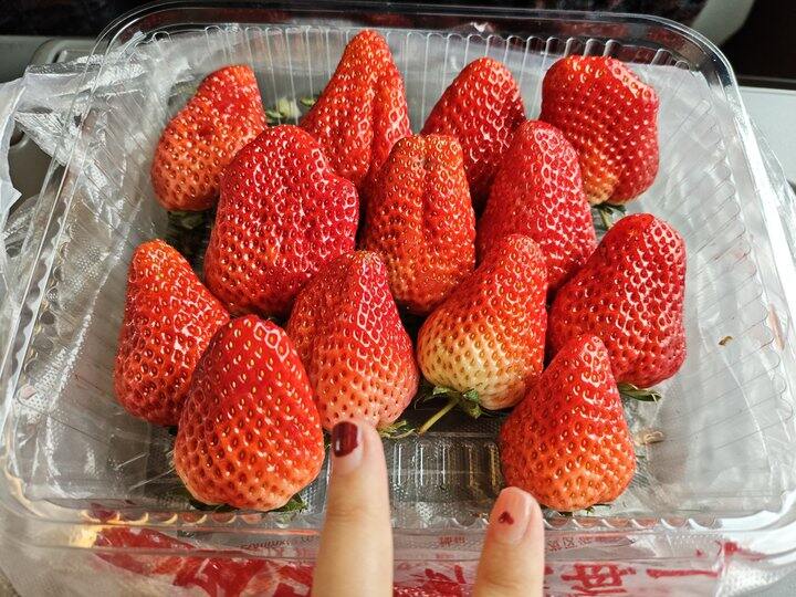 感谢出租司机助力的丹东草莓🍓