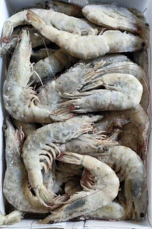【过年囤货】厄瓜多尔南美大虾20/30冻虾鲜活冷冻白虾礼盒装海鲜年