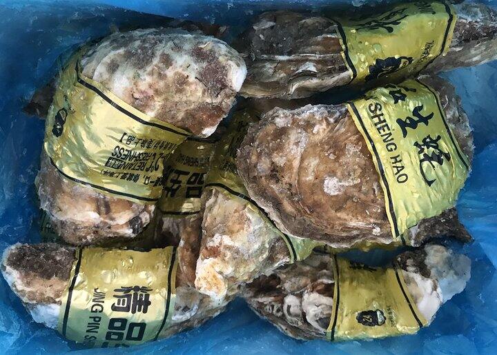 自营生蚝🦪超大号