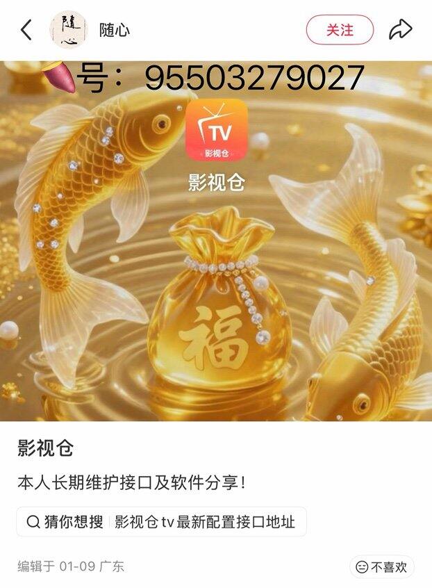 有没有电视端app推荐的？