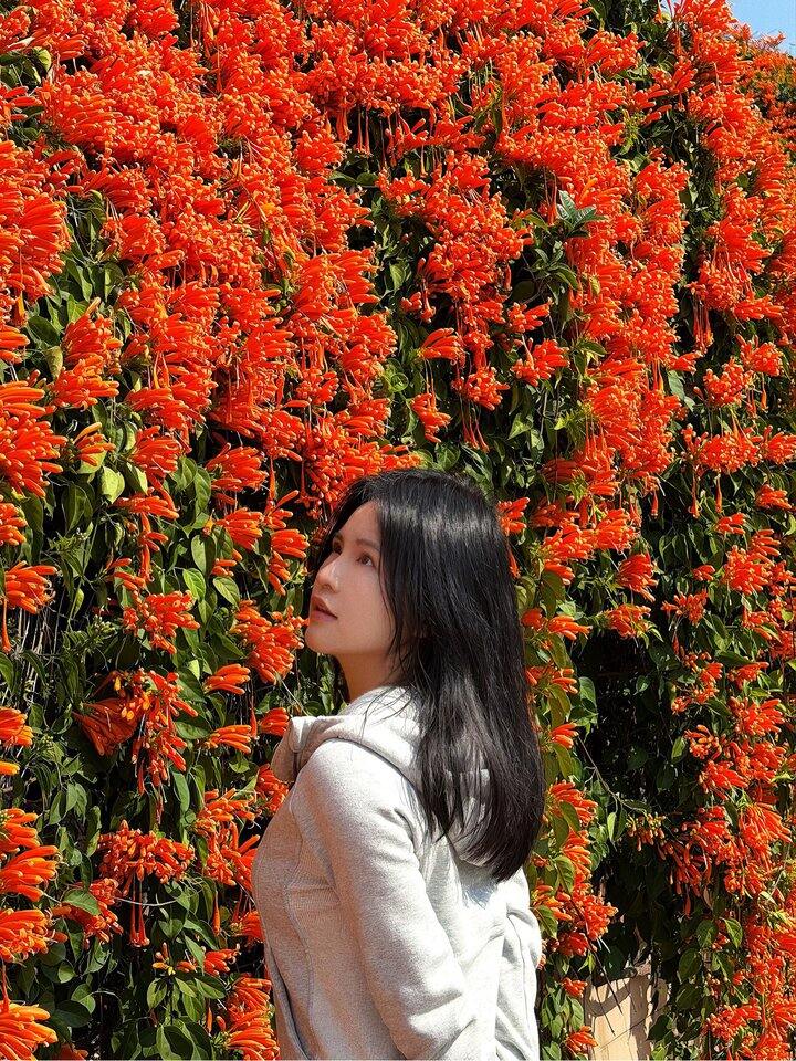 忍痛开了个醒图会员