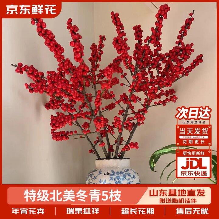 京东鲜花北美冬青，49.9
