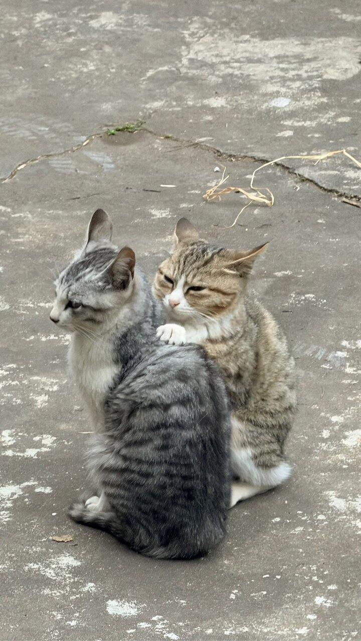 一些遗憾与泪崩时刻