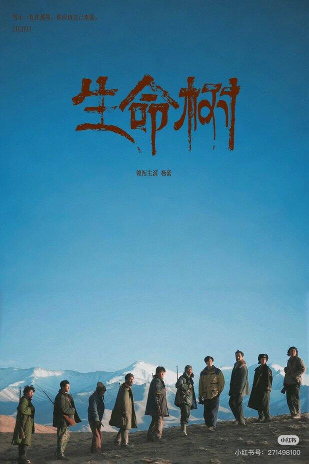 生命树请你们一定要去看！！