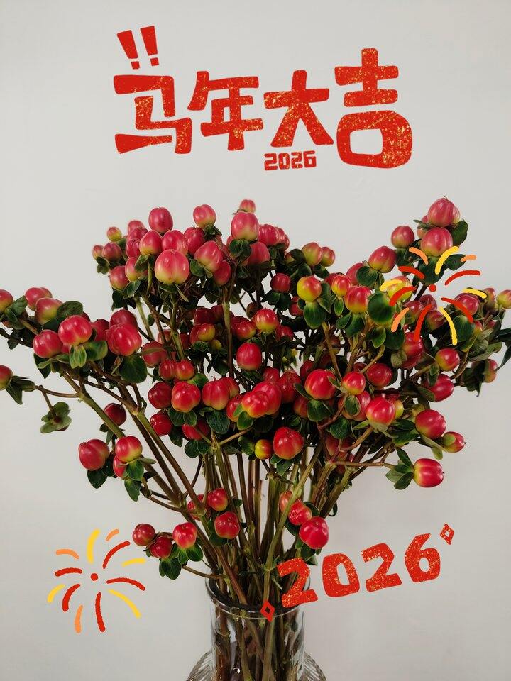 猝不及防又要过年了