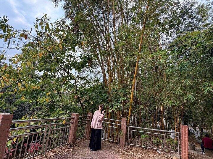 买到了合适的浅色大衣