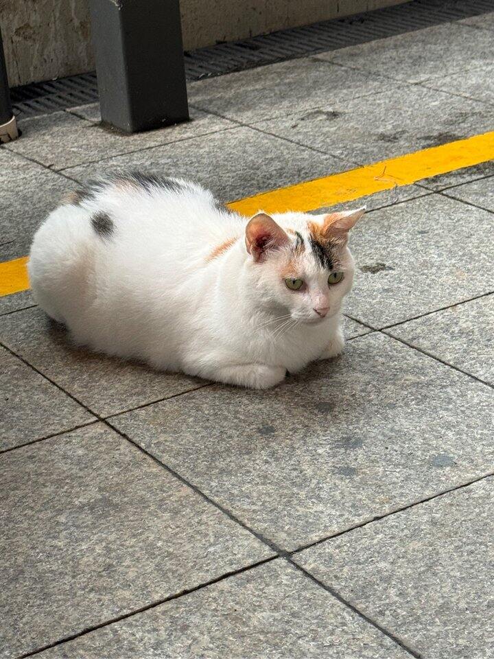 有没有买给长辈的益生菌推荐哇