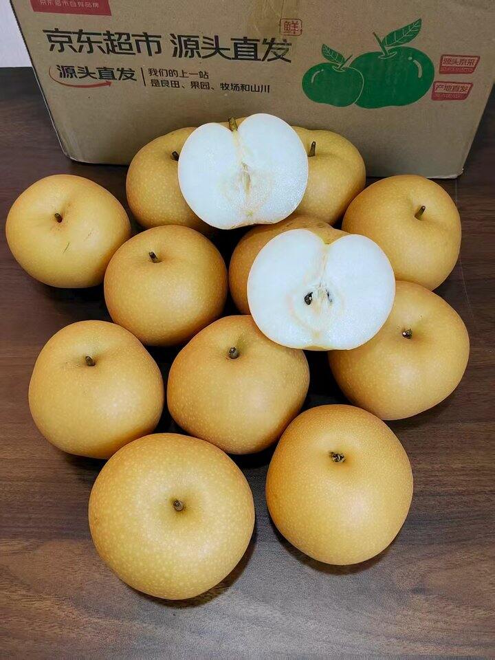 秋月梨🍐