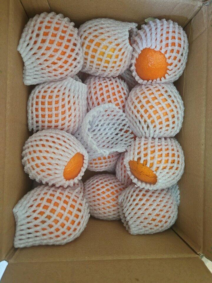 自营沃柑🍊