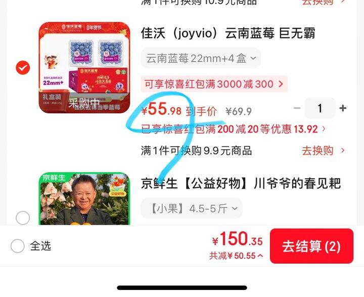 佳沃巨无霸蓝莓🫐丨14/盒