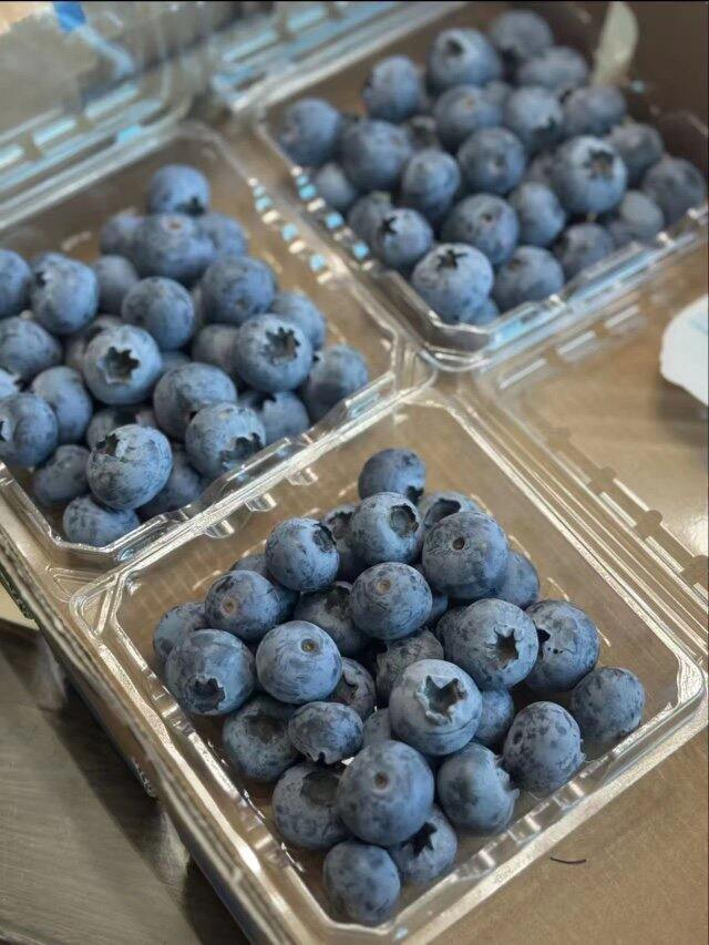 佳沃品质保证 蓝莓💰6/盒‼️