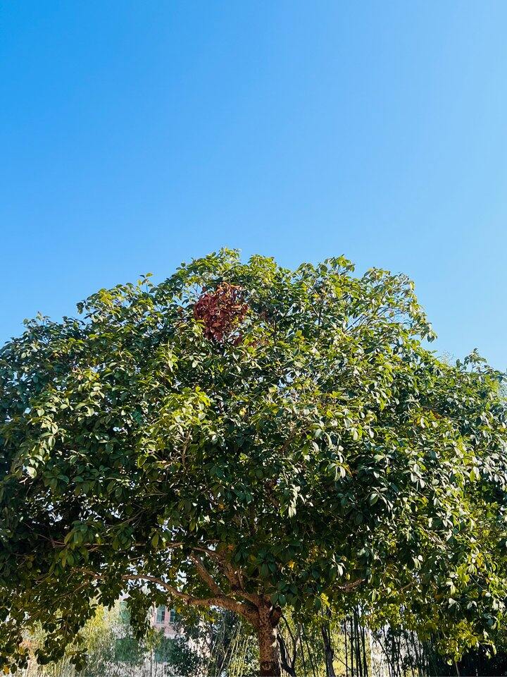 求推荐北京离婚律师