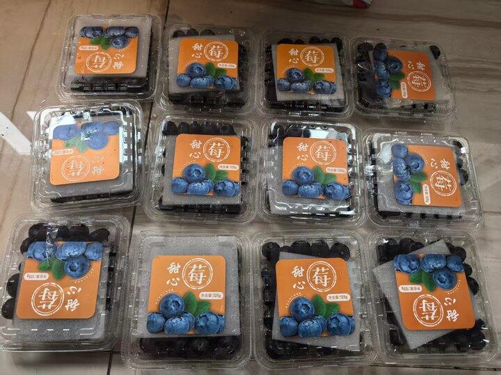 自营蓝莓🫐