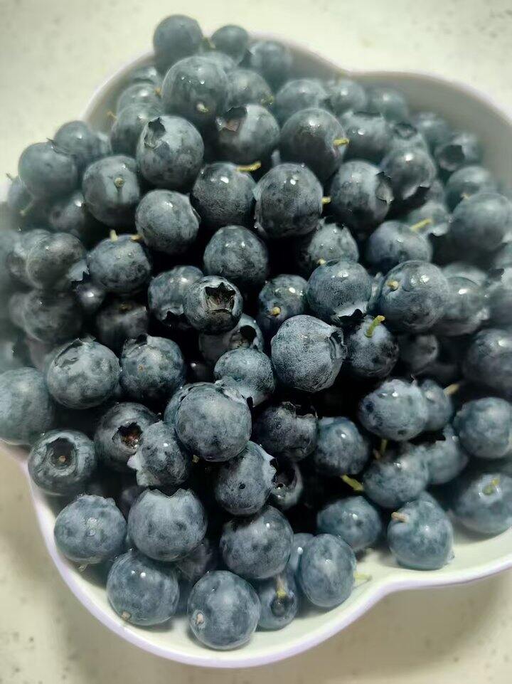 地得蓝莓89.9三斤12盒