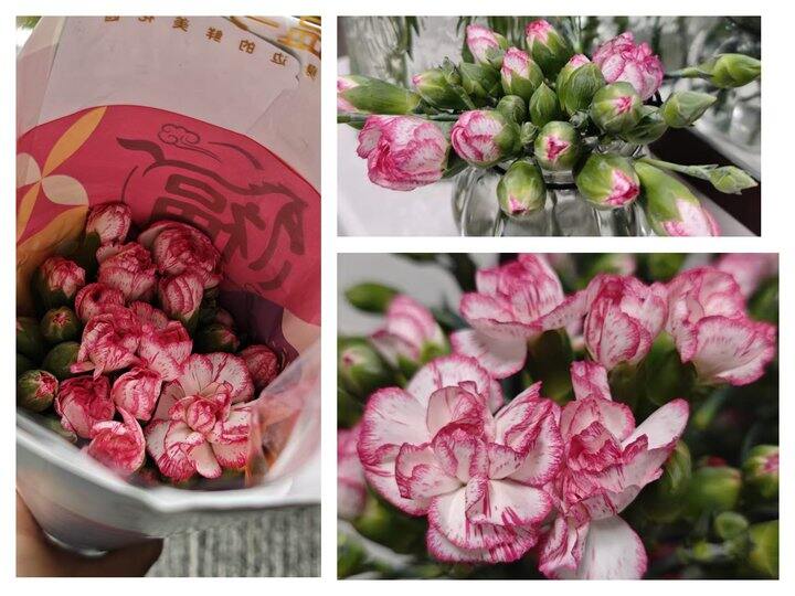 ［随手拍］女神节快乐