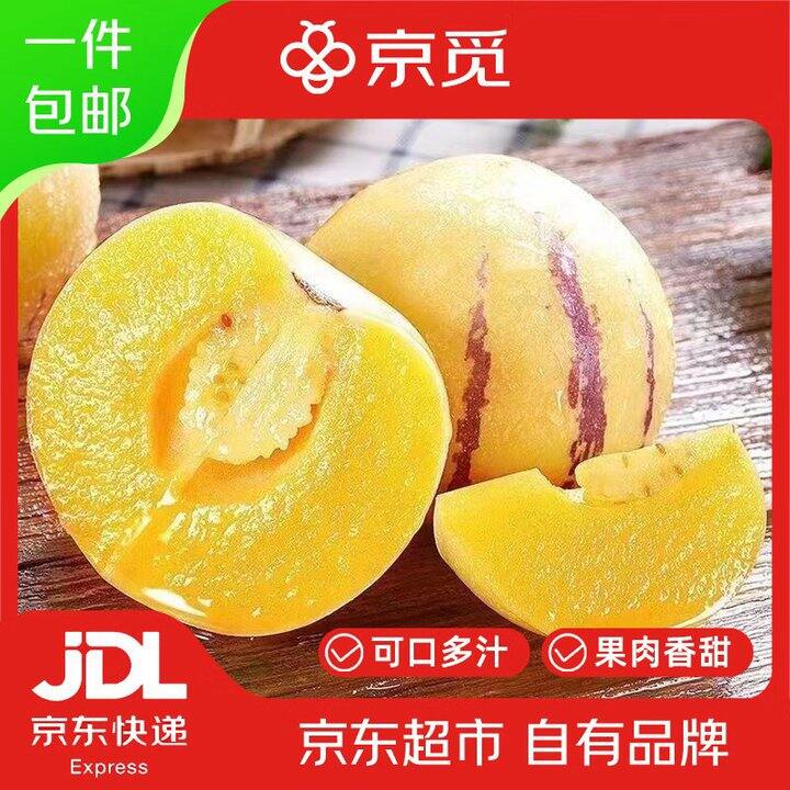 京觅 四川攀枝花 人参果💰19.9