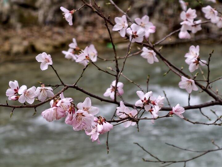 总算去到九寨沟