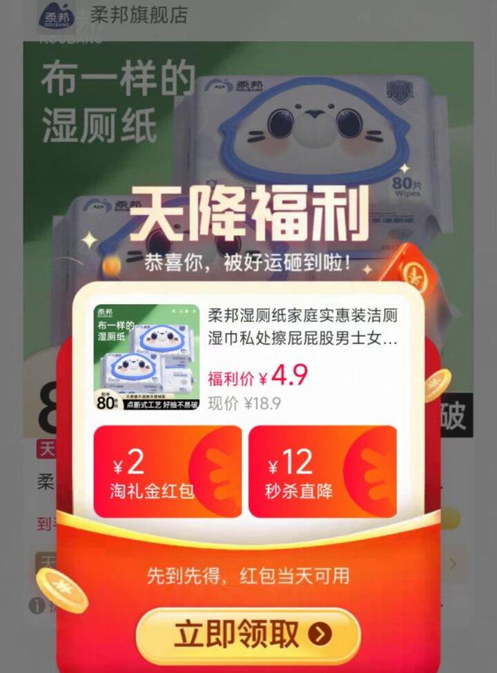 柔邦湿厕纸，4.9