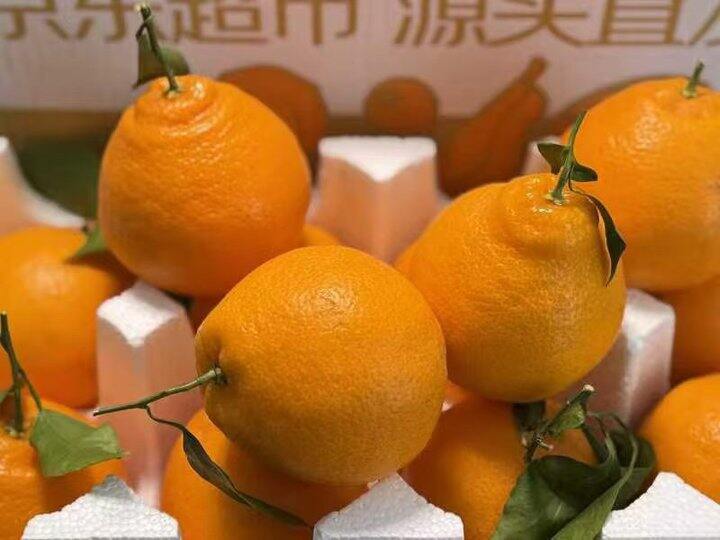 京鲜生 四川春见耙耙柑